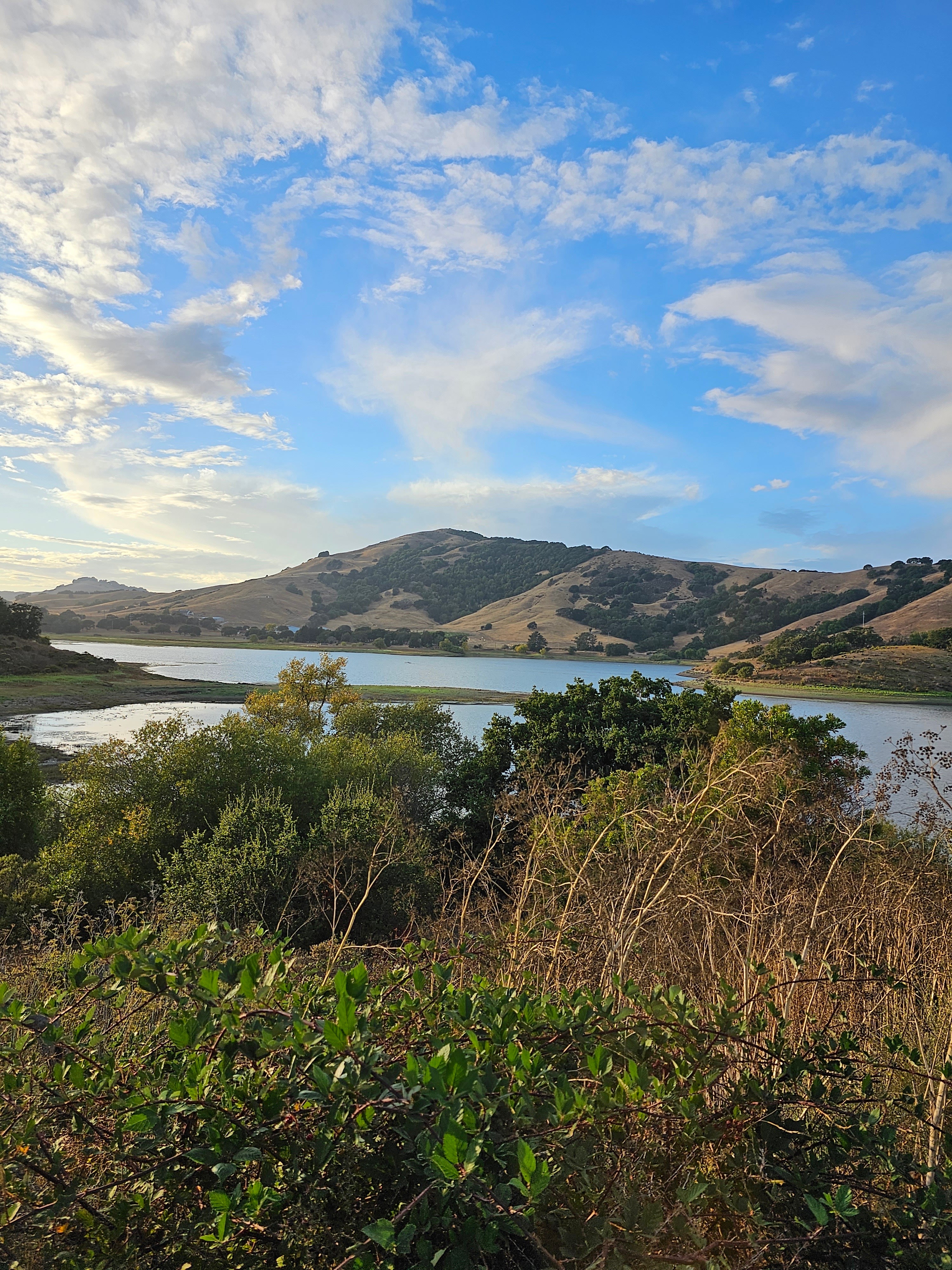 Best tree & yard service sonoma county