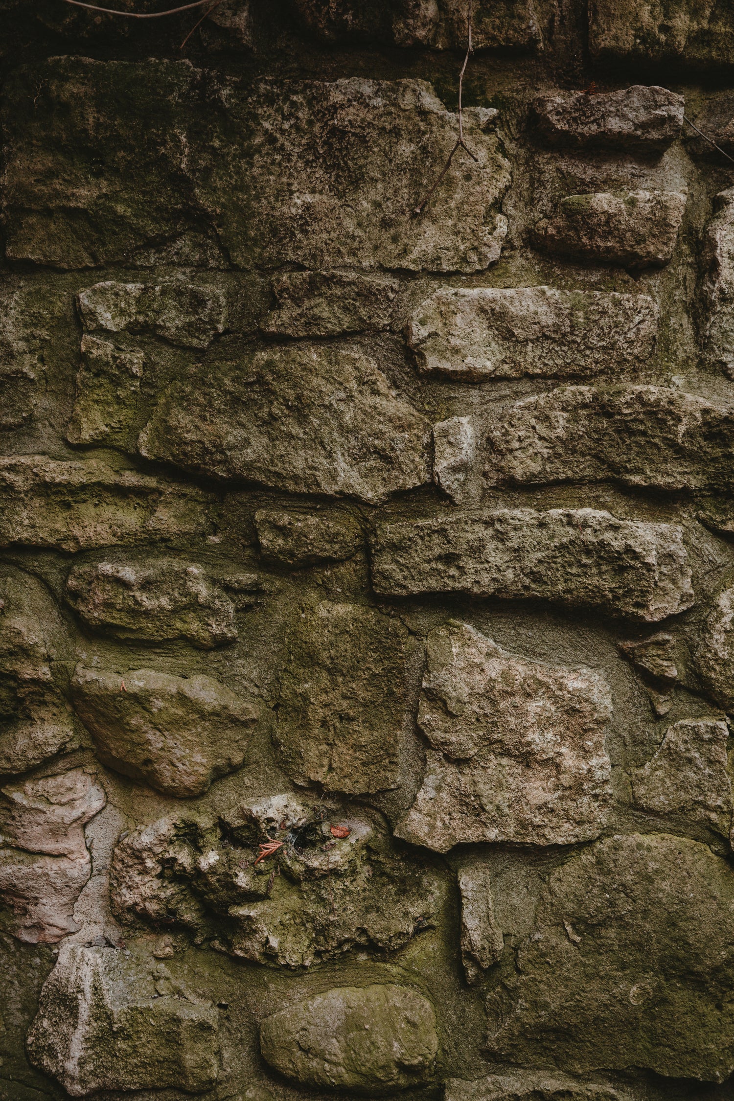 Retaining Walls for yard service in sonoma county