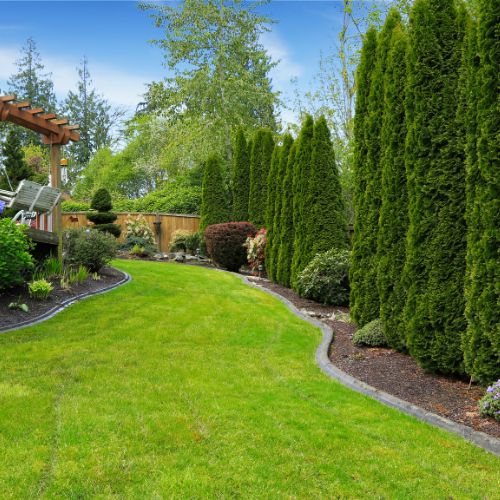 Best yard service sonoma county