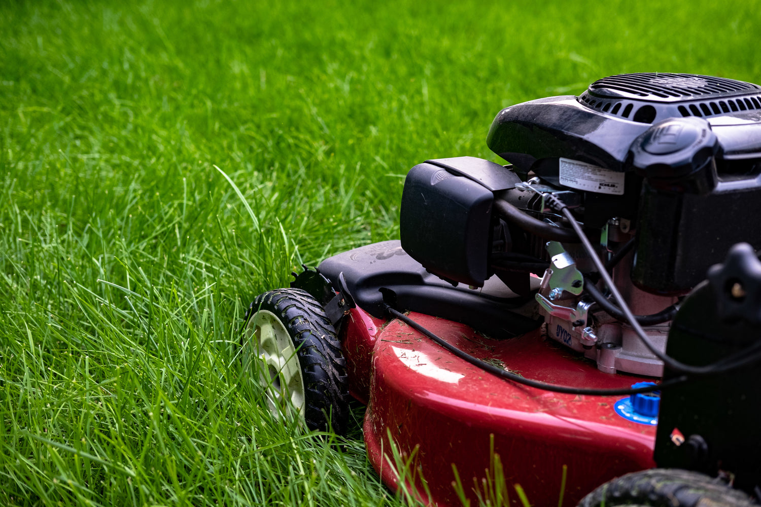 Mowing services for landscaping in Santa Rosa